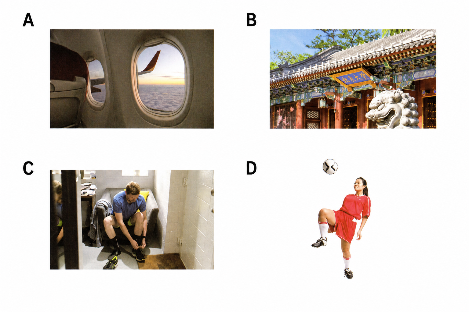 Hình lựa chọn phần II